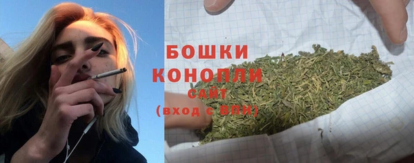 индика Покровск