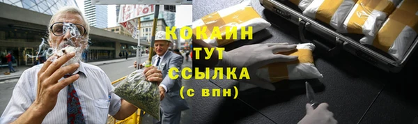 ПСИЛОЦИБИНОВЫЕ ГРИБЫ Пестово