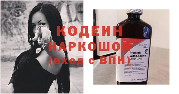 индика Покровск