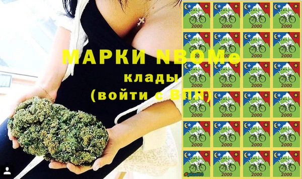 индика Покровск