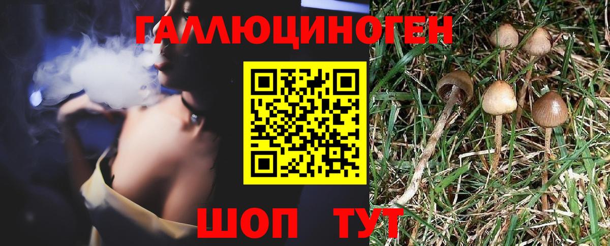 Гуково  Псилоцибиновые грибы Psilocybine cubensis  Вход с VPN 