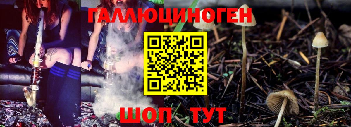 Гуково  КОКАИН  Вход с VPN  Купить наркотик  Гашиш  NBOMe  Мефедрон   Экстази  Бошки Шишки 