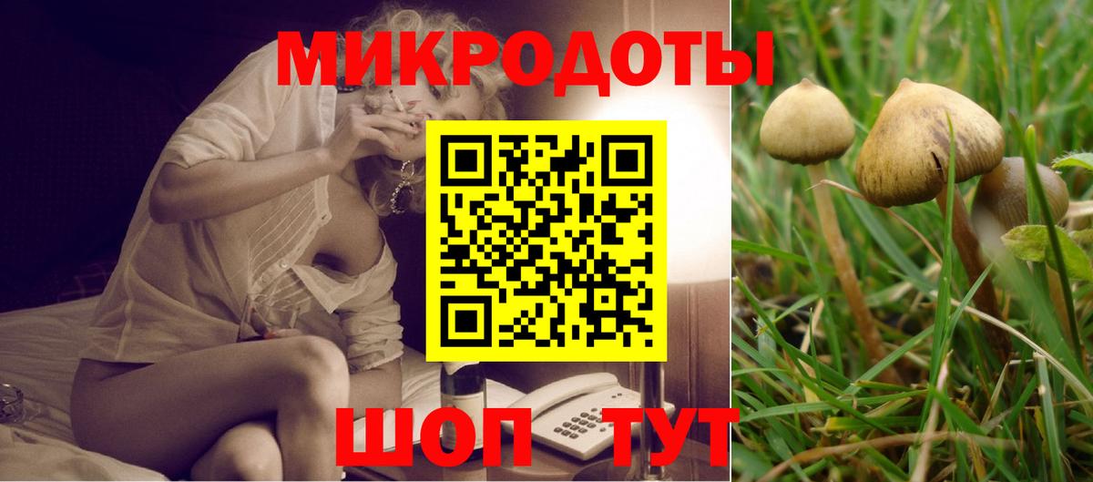 Псилоцибиновые грибы MAGIC MUSHROOMS Гуково