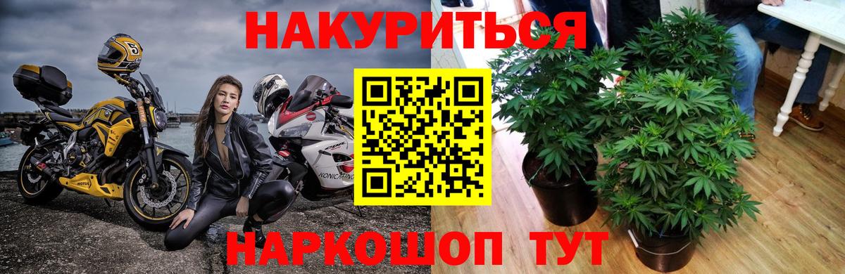 Каннабис конопля  МАРИХУАНА White Widow  Гуково 